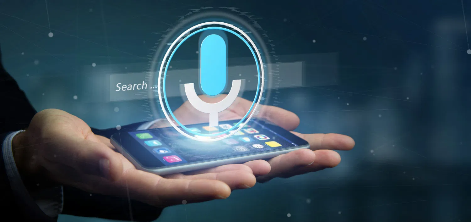 Voice Search 2025
